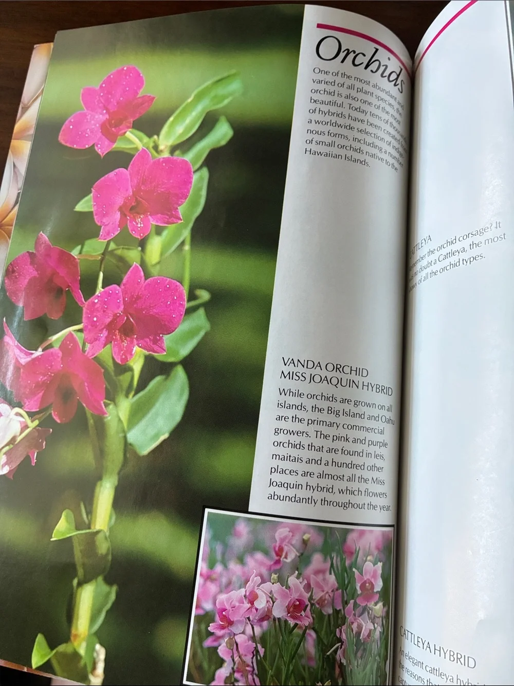 🔺FREE WHEN BUNDLED🔺 “Flowers of Hawaii” Book — Island Heritage